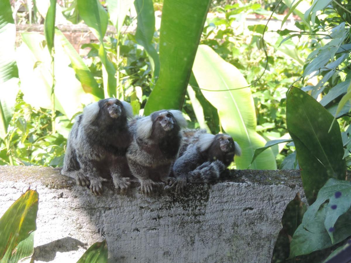 Pousada Tropicália Paraty Bagian luar foto