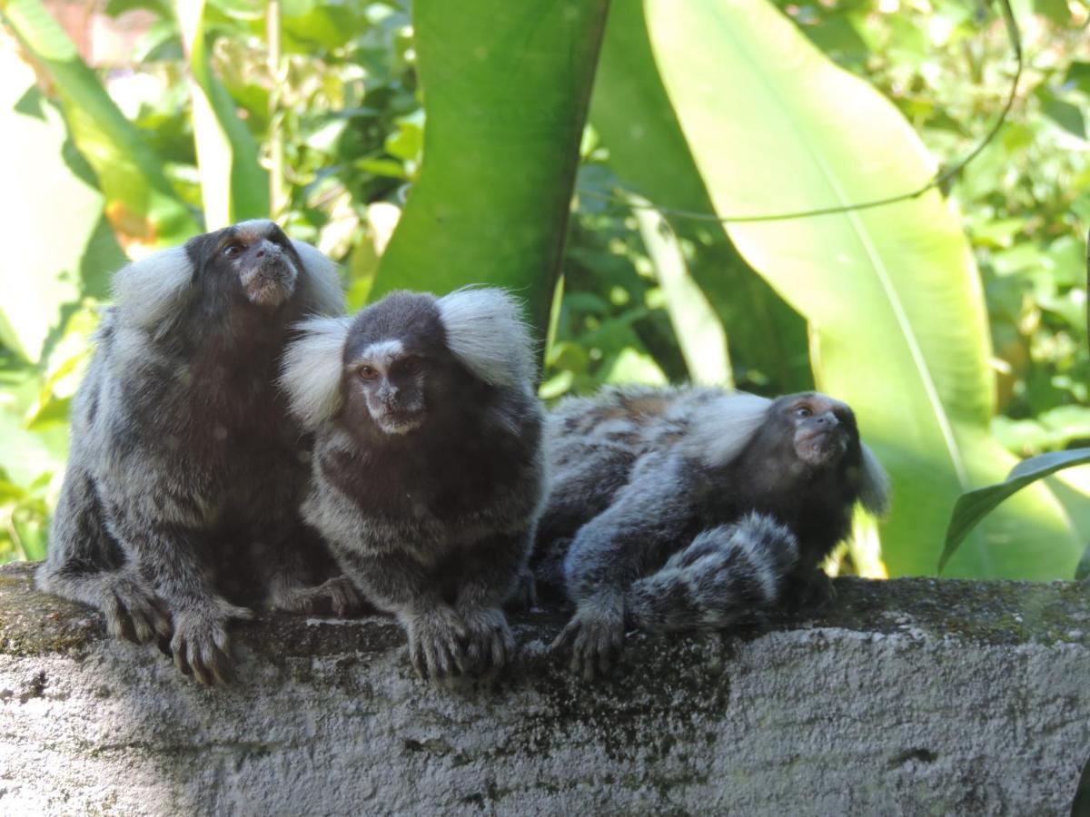 Pousada Tropicália Paraty Bagian luar foto